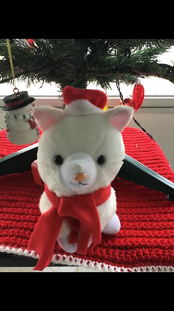 Christmas cat Loves Trump