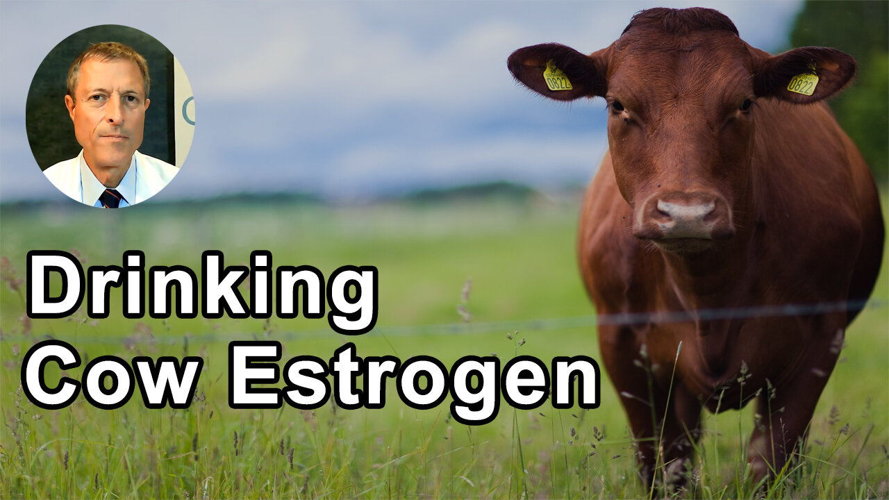 When You Drink A Glass Of Milk Or Eat A Slice A Cheese, You Are Getting Estrogens From The Cow