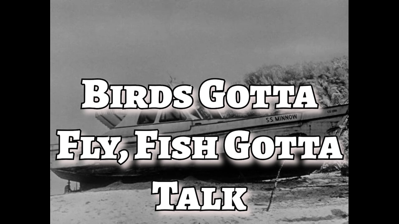 Gilligan's Island - "Birds Gotta Fly, Fish Gotta Talk"