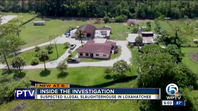 PBSO says more arrests coming in case of a suspected illegal slaughterhouse in Loxahatchee Groves