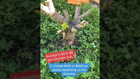 Side hustle 66 start a stump removal business and charge $100 to $400 per stump