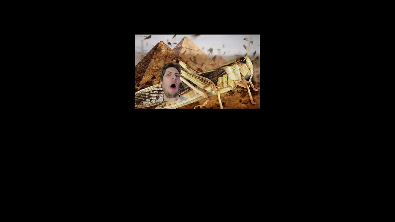 Bugs Might End The World