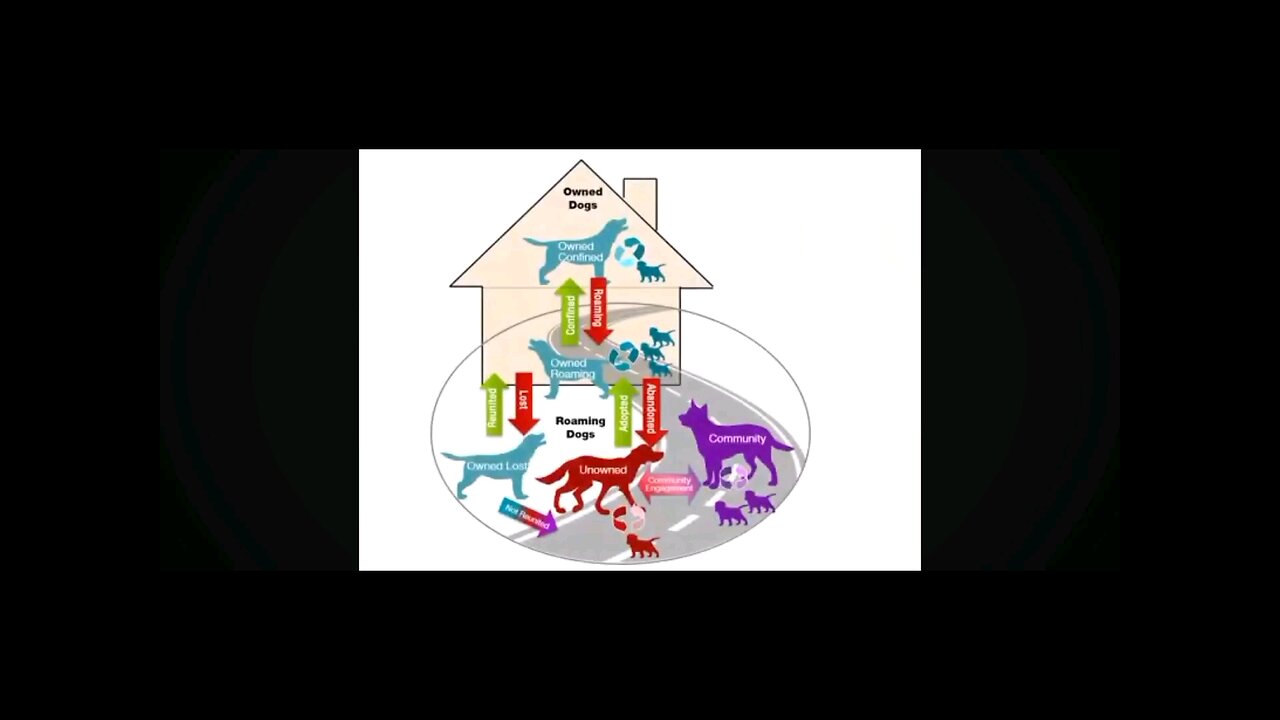 The role of shelters