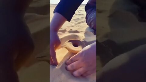 marvelous / experiment subscription