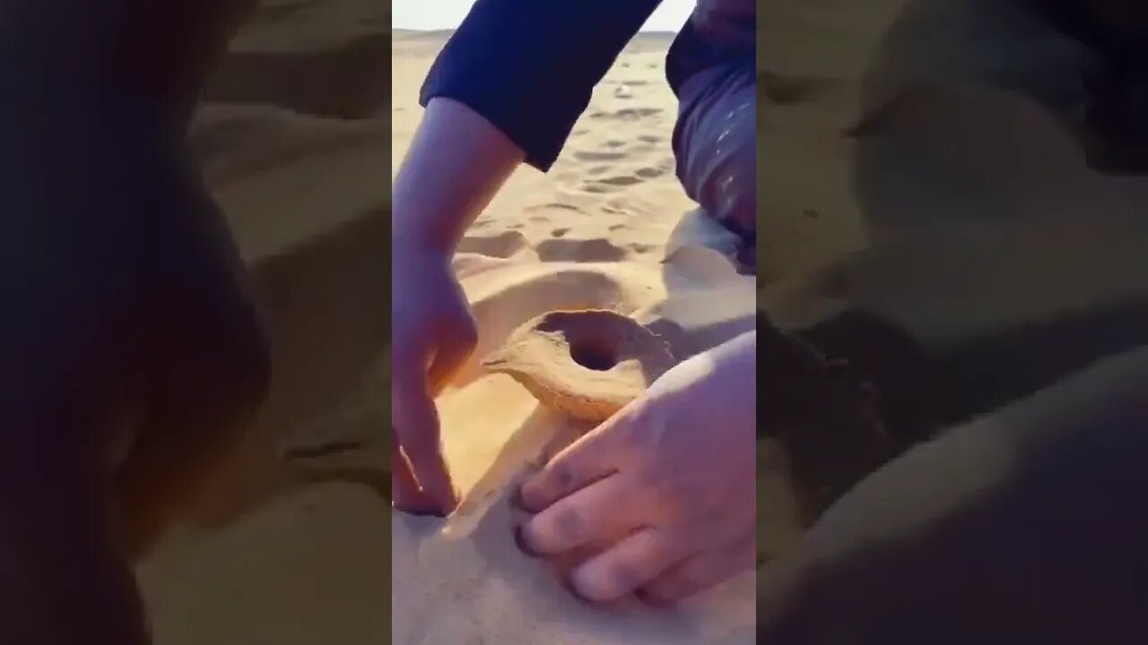 marvelous / experiment subscription