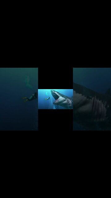 Animals That Were Scarier Than Dinosaurs | Megalodon | terror Bird #shorts