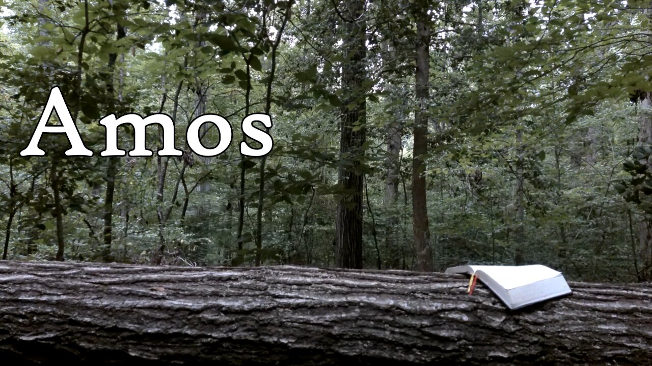 Amos | The Holy Bible | Old Testament 30/39