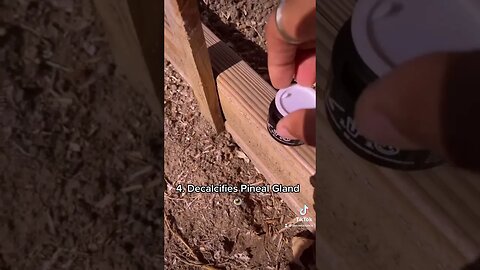 How this Ancient paste changed my life