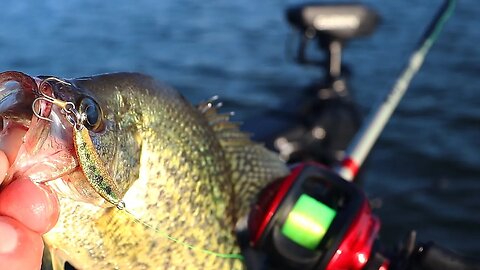 Jigging Spoons for Crappie in the Summer (Fishing a brush pile)