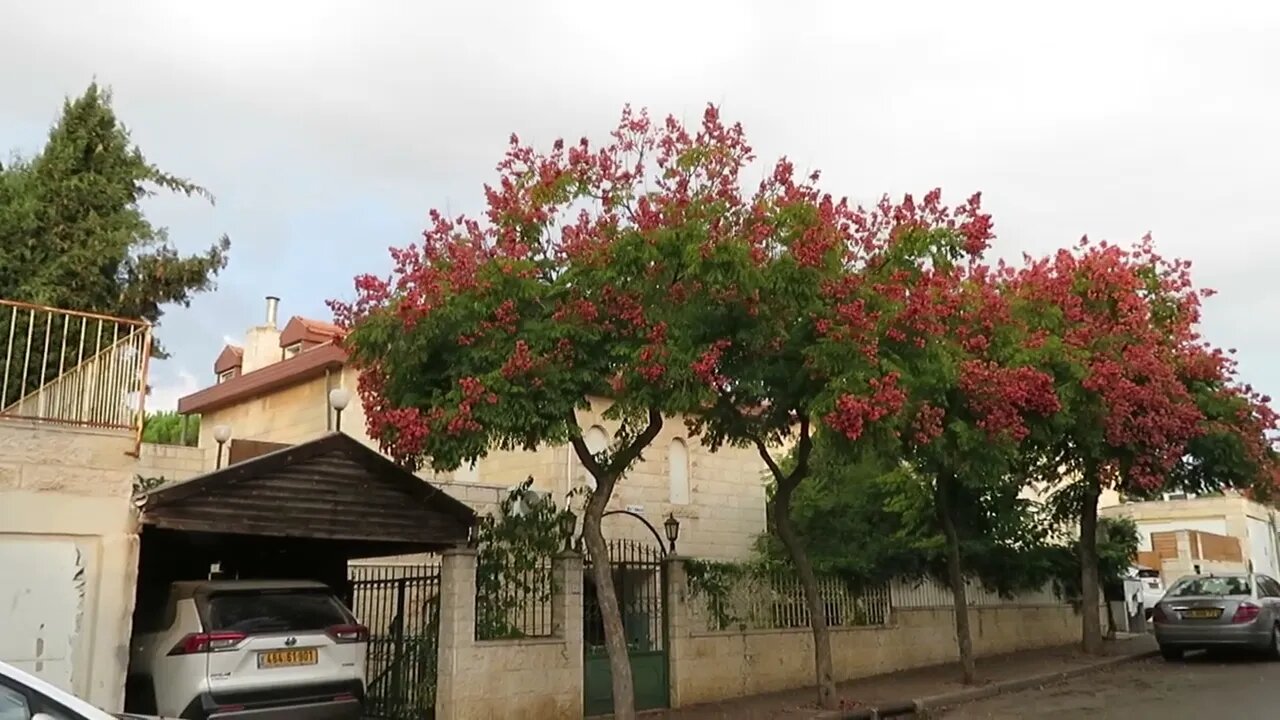 A beautiful small town north of Jerusalem. Walk With Me, Steve Martin, Love For His People Ministry