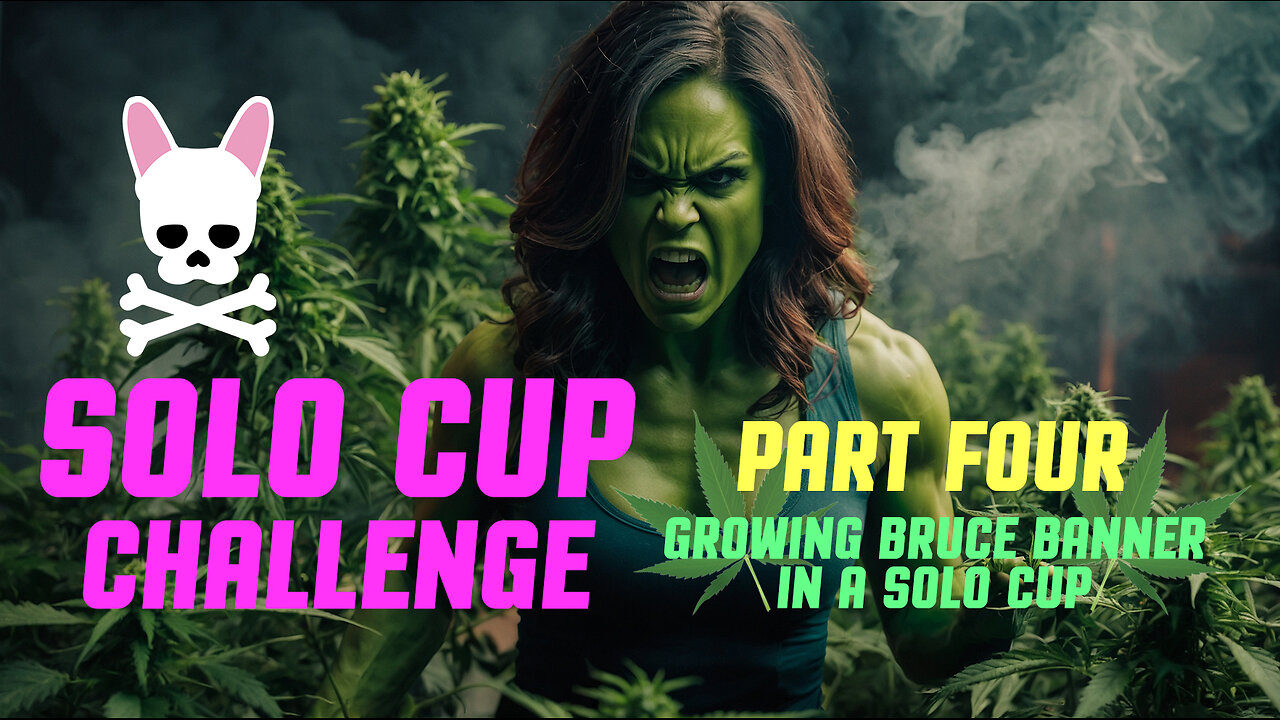 Solo Cup Challenge Episode 4 - Bruce Banner Auto