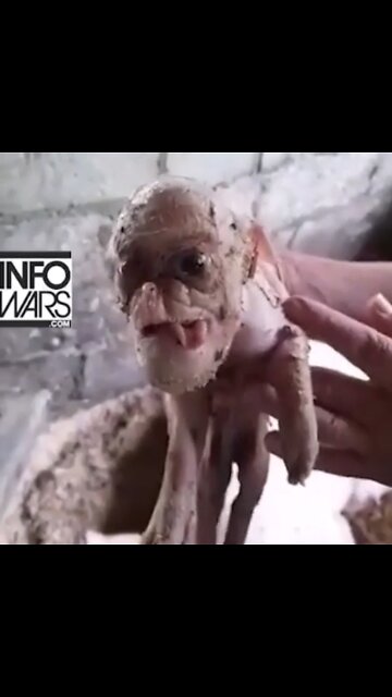 Evil Genetic experiences?