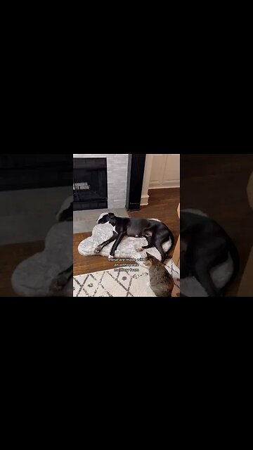 Costco New Deals January 2023 Part-33 #shorts #costco