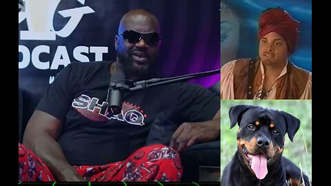 Shaq grilled on "Shazam with Sinbad" : He named dog "Shazam"