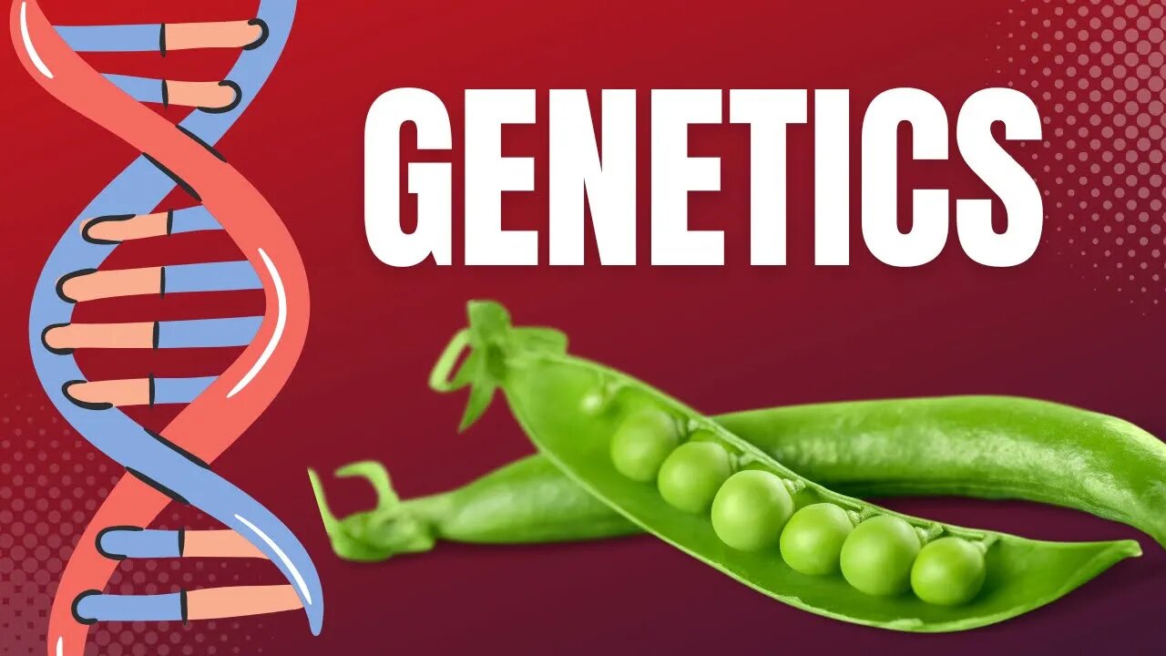 An Introduction to Genetics and Heredity - Gregor Mendel and DNA