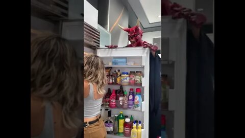 SHE GOT SO SCARED,HER EGGS WENT FLYING! For Entertainment Purposes Only