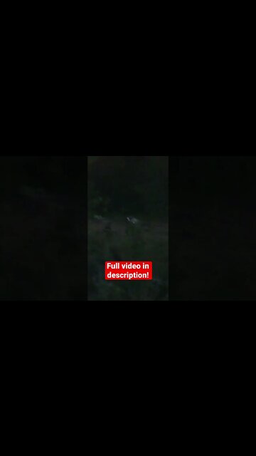 Blind Kid Kills His First Deer!