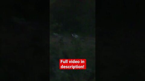 Blind Kid Kills His First Deer!