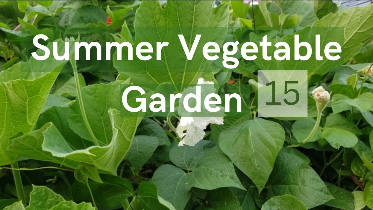 Summer Vegetable Garden #15 #gardening #vegetablegarden