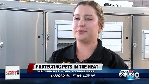 Animal Protection Service officers see increase in calls about animals in heat distress