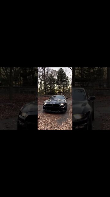 watch all the chaos around you #ford #mustangsociety #fordperformance #fordracing #shorts