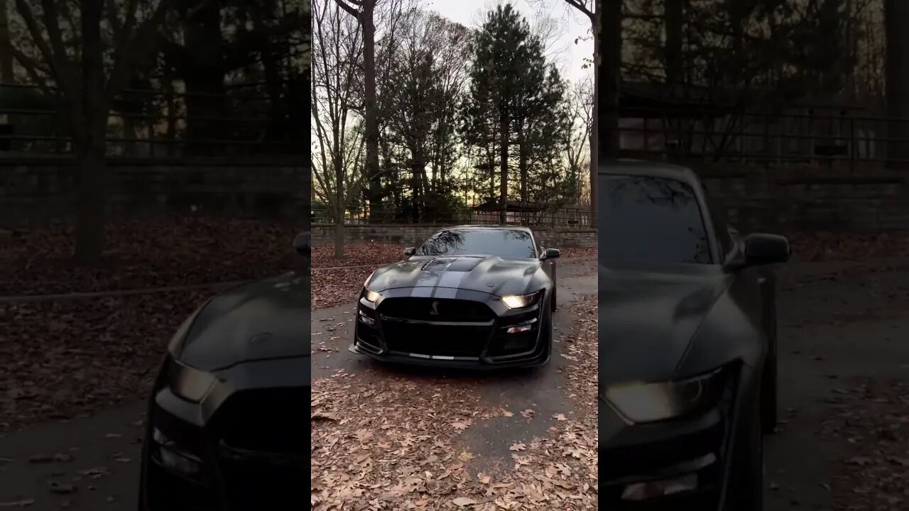 watch all the chaos around you #ford #mustangsociety #fordperformance #fordracing #shorts