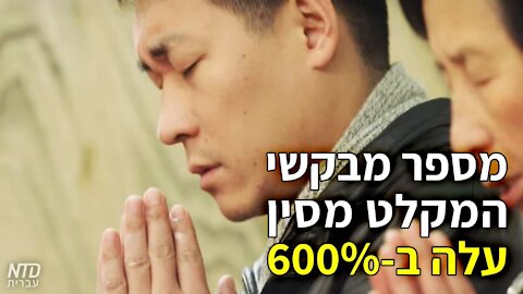 מספר מבקשי המקלט מסין עלה ב-600%