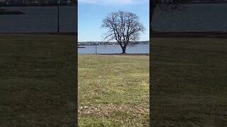 Downtown Charlottetown from Victoria Park PEI