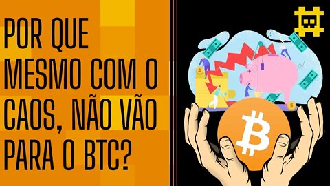 Por que mesmo com volatilidade e quedas em diversas moedas a população não procura o BTC?- [CORTE]