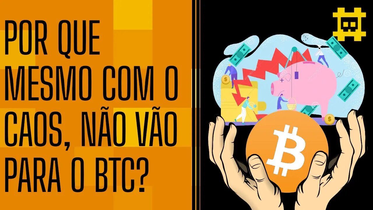 Por que mesmo com volatilidade e quedas em diversas moedas a população não procura o BTC?- [CORTE]