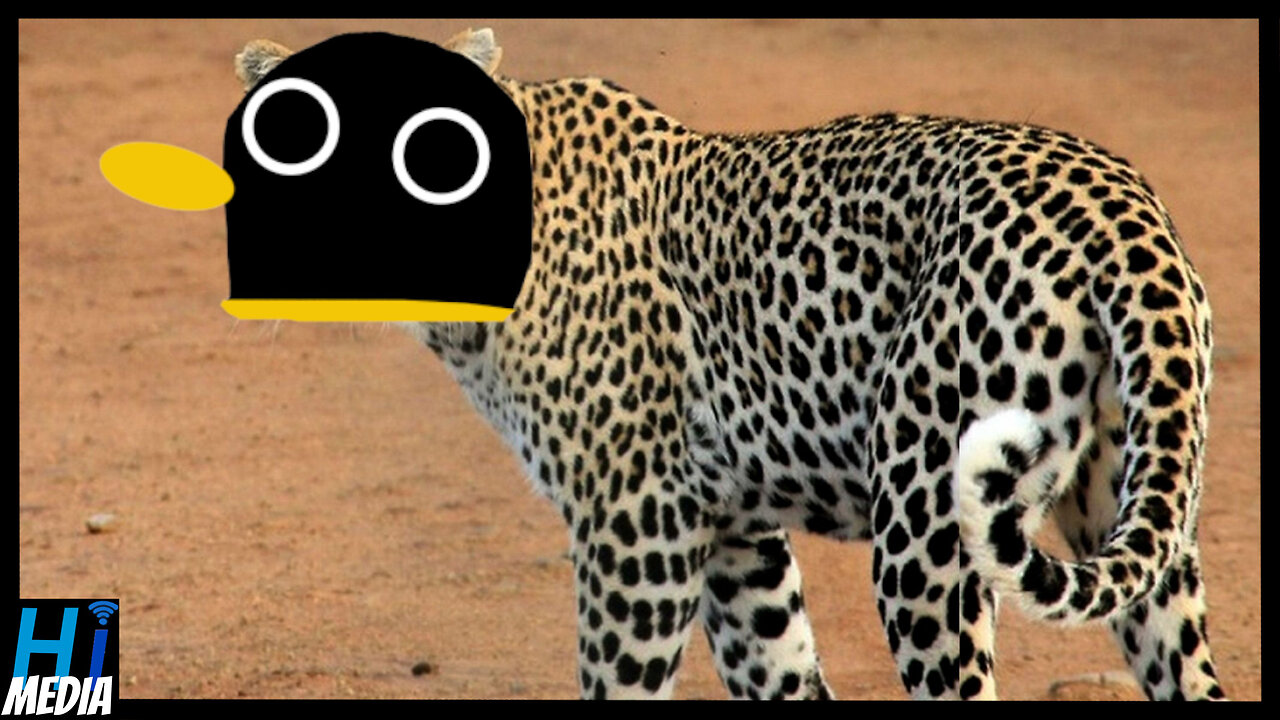 I Never Thought The Leopards Would Eat My Face