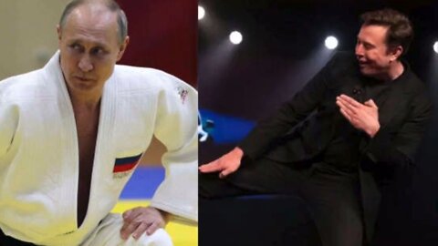 Elon Musk Vs Vladimir Putin Karate Fight