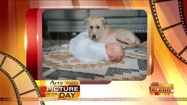 Art's Cameras Plus Picture of the Day for July 26!