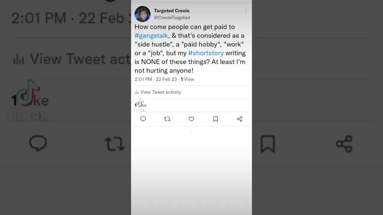 #gangstalking is a #nefarious #sidehustle