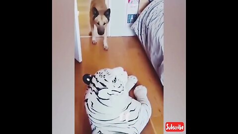 Innocent dog scared of fake lion #shorts #youtubeshorts #viral #dog