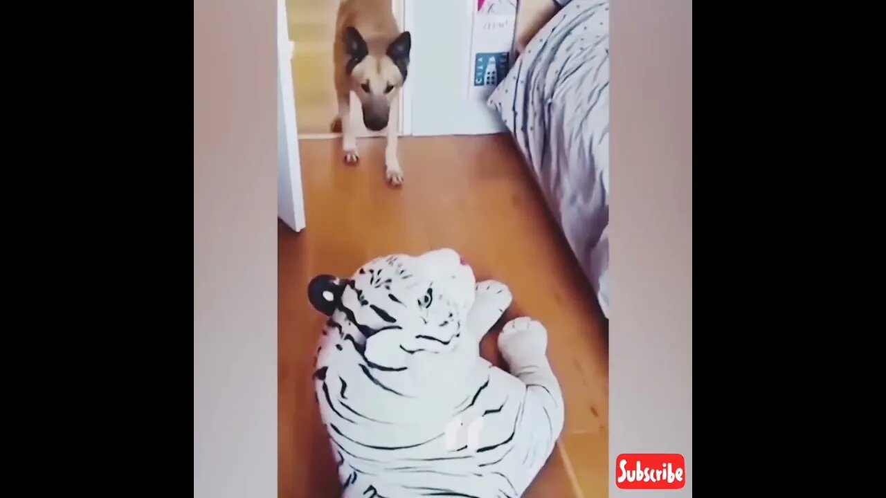 Innocent dog scared of fake lion #shorts #youtubeshorts #viral #dog