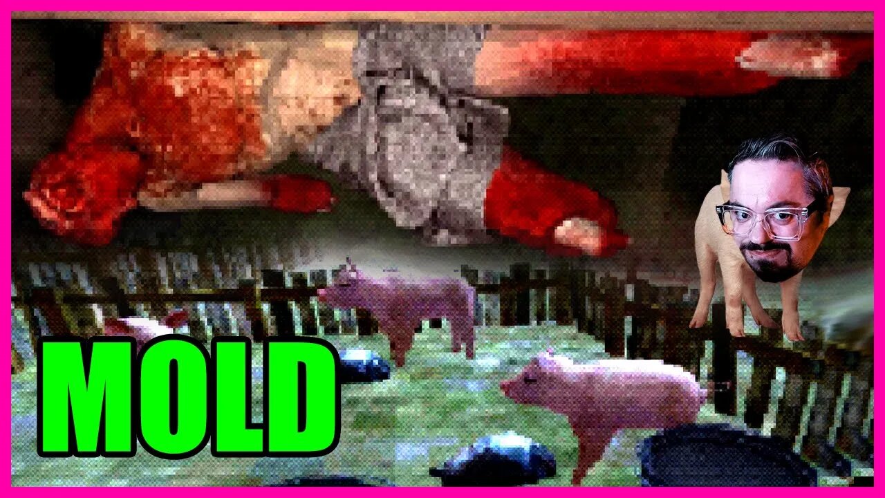 A Mysterious Amulet, Pigs, & Murder | MOLD