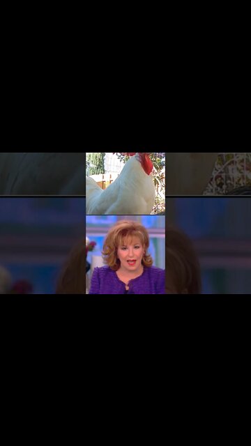 The View say goodbye to Speaker Pelosi