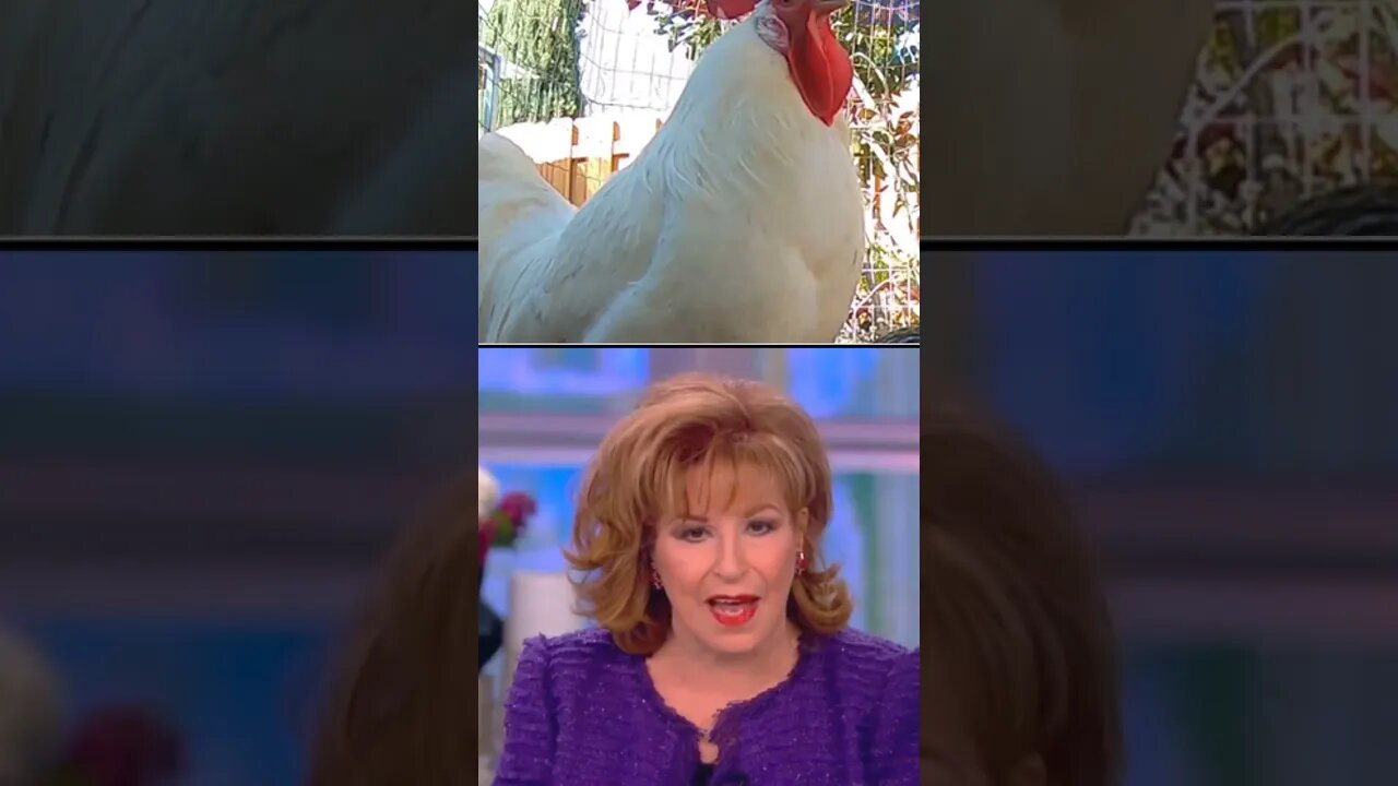 The View say goodbye to Speaker Pelosi