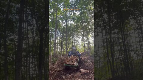 How to not haul fire wood #atv #quad #grizzly700 #firewood #homesteading # ranch