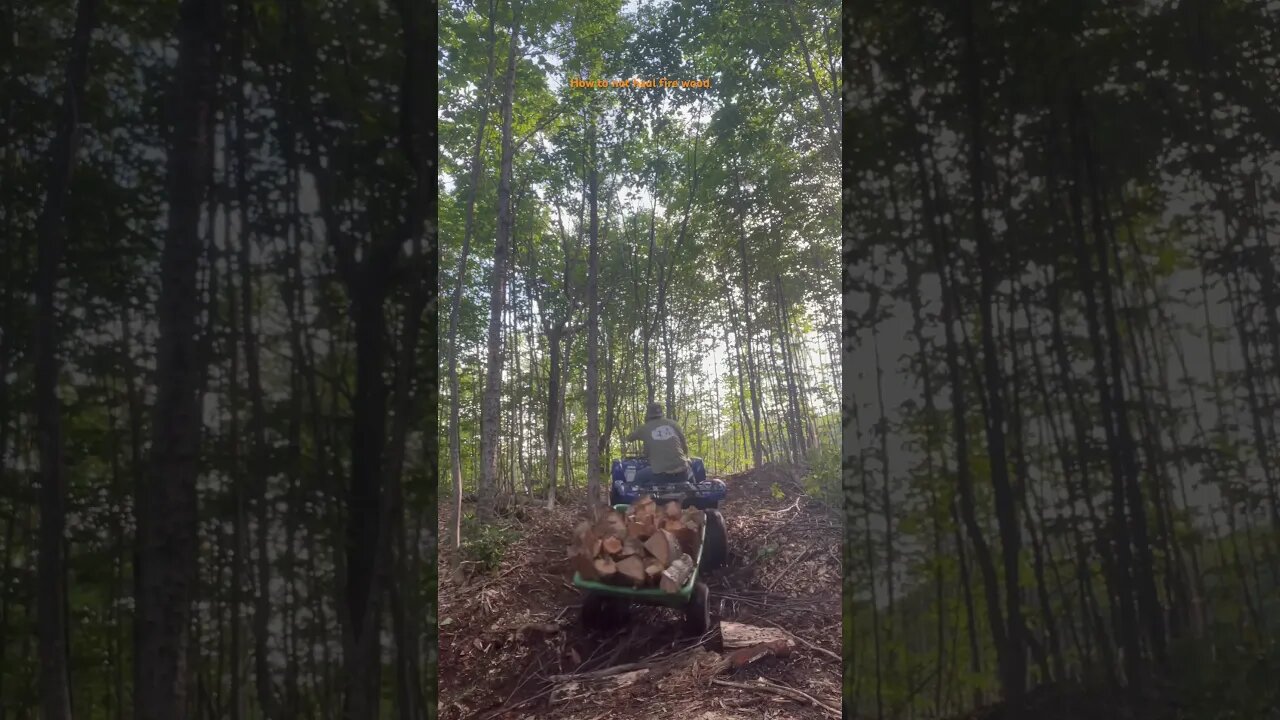 How to not haul fire wood #atv #quad #grizzly700 #firewood #homesteading # ranch