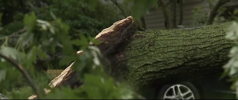 Metro Detroit hit hard by severe storms