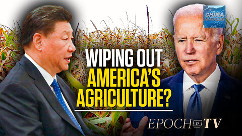 Could China Wipe Out America’s Agriculture? | China in Focus