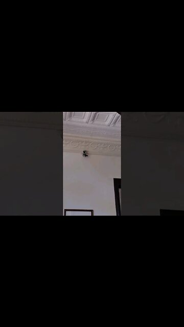 Cam back Short tour #upeople #gcm