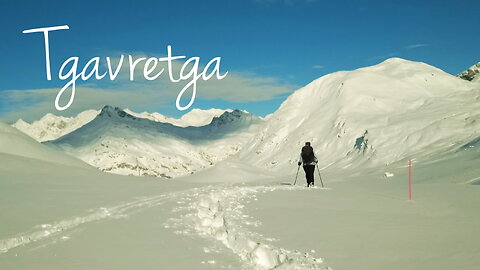2023 | Tgavretga