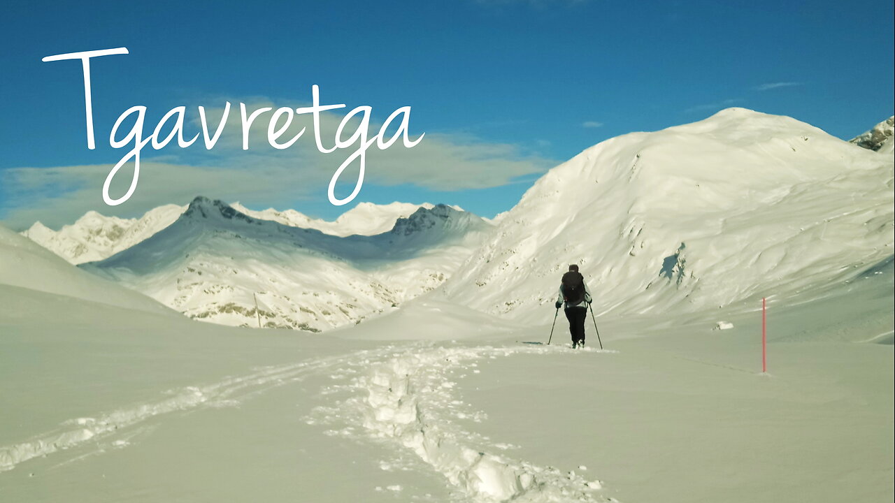 2023 | Tgavretga