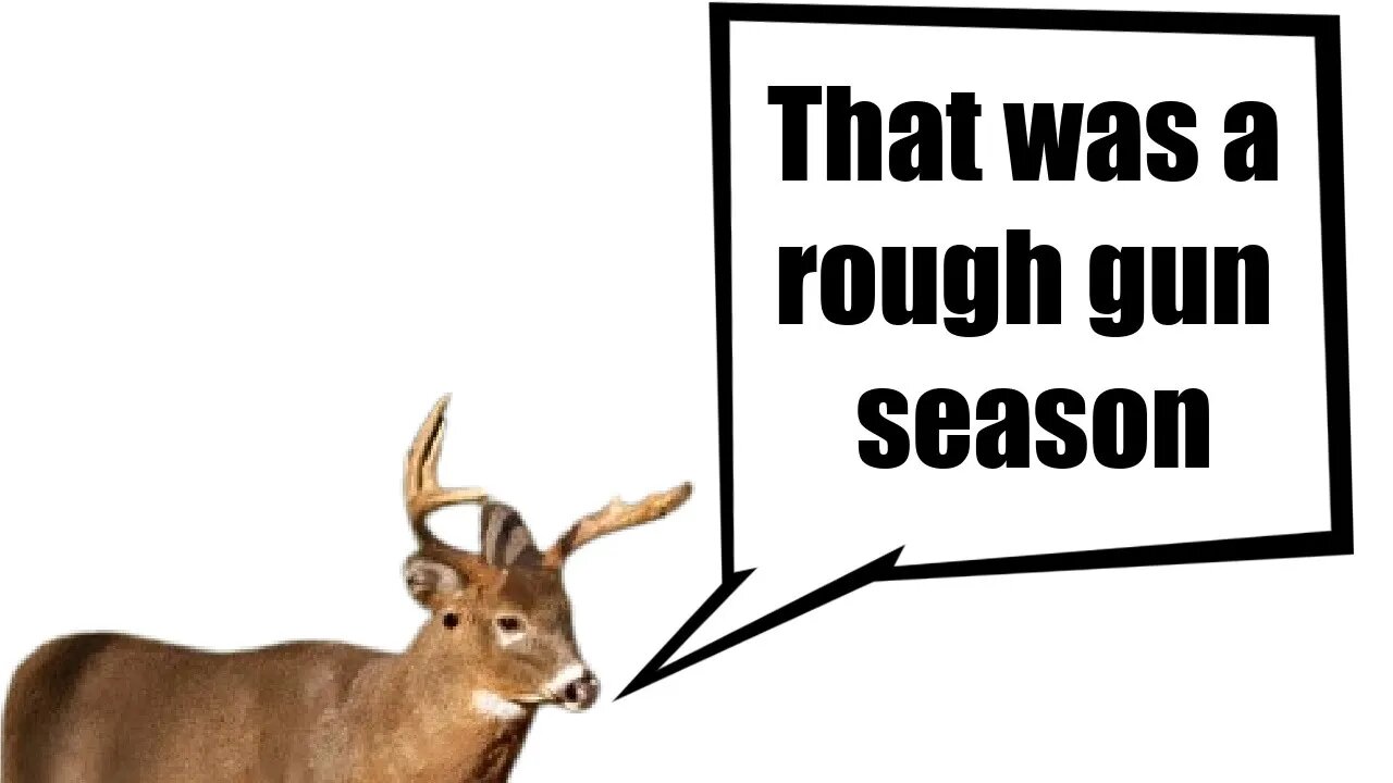 How long for deer to recover after gun season?