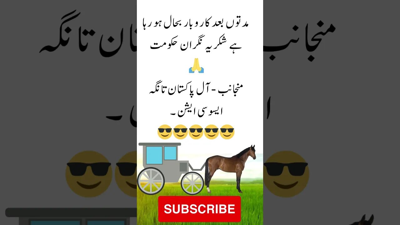 Thanks for increasing petrol prices | interesting facts | funny quotes | joke in Urdu