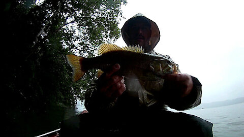 Susquehanna River Trip # 1 - Small Mouth Bass