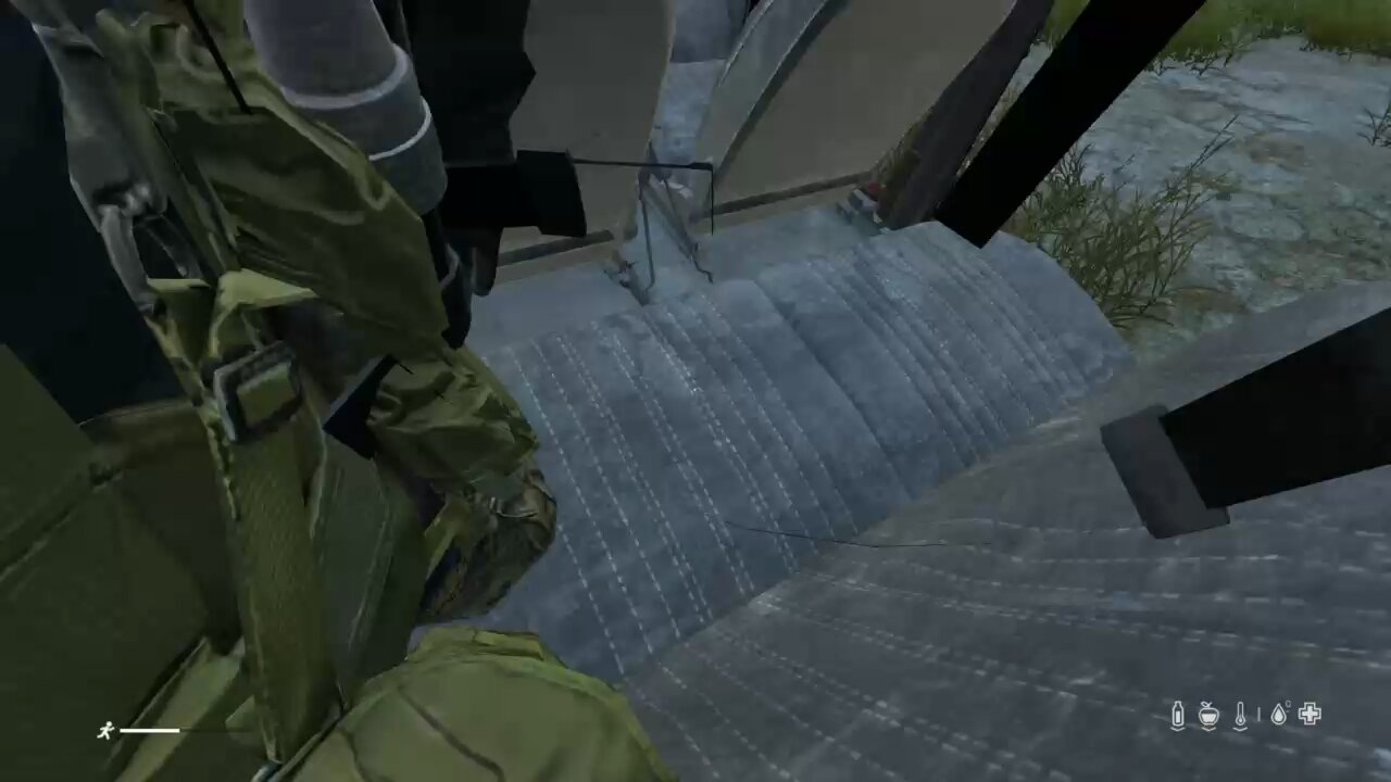 So, this happened on DayZ